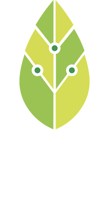Sustainable Information Economy leaf
